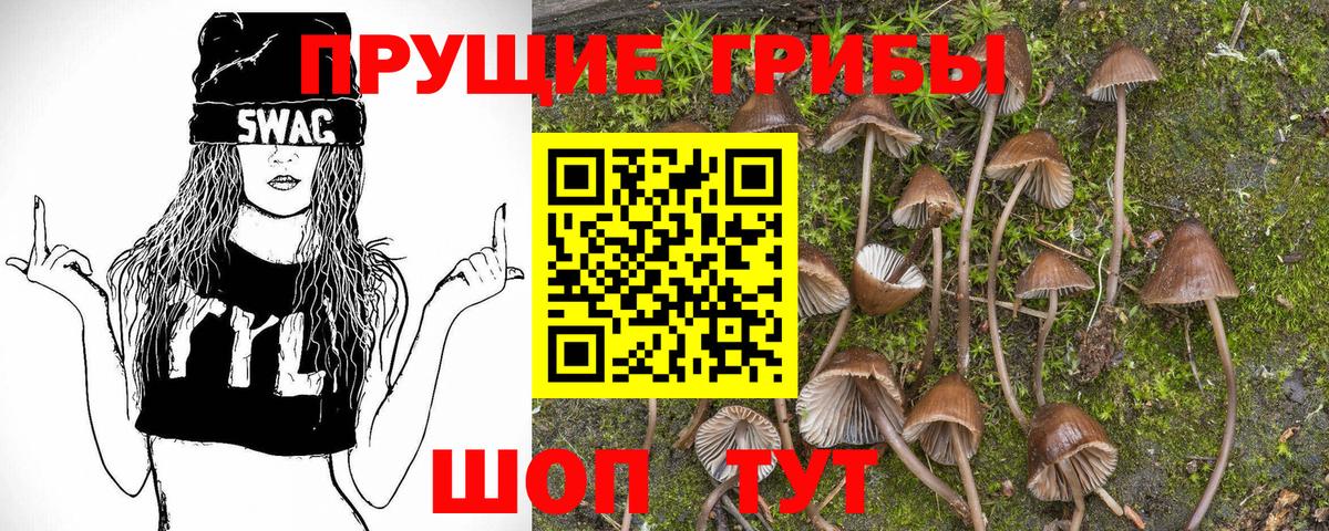 Псилоцибиновые грибы Cubensis Клинцы